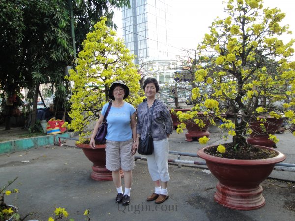 DSC01348