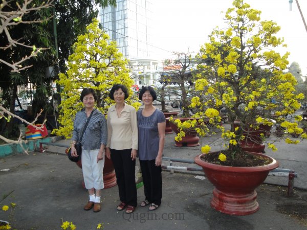 DSC01349