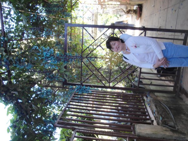 DSC01561