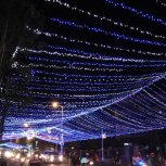 DSC01571