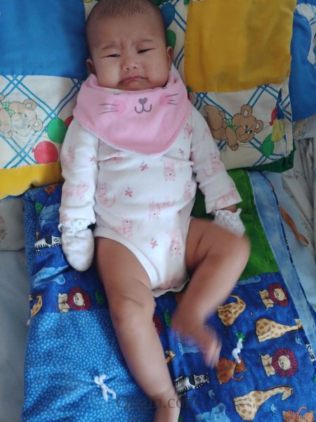 IMG-10d05217caf356bbb540bb751fec9d4e-V.jpg